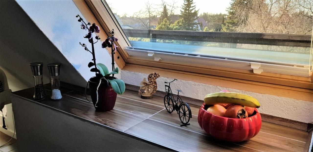 Ferienwohnung Am Park Leipzig Eksteriør billede