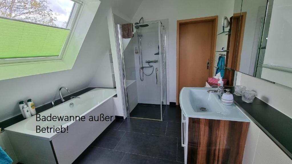 Ferienwohnung Am Park Leipzig Eksteriør billede
